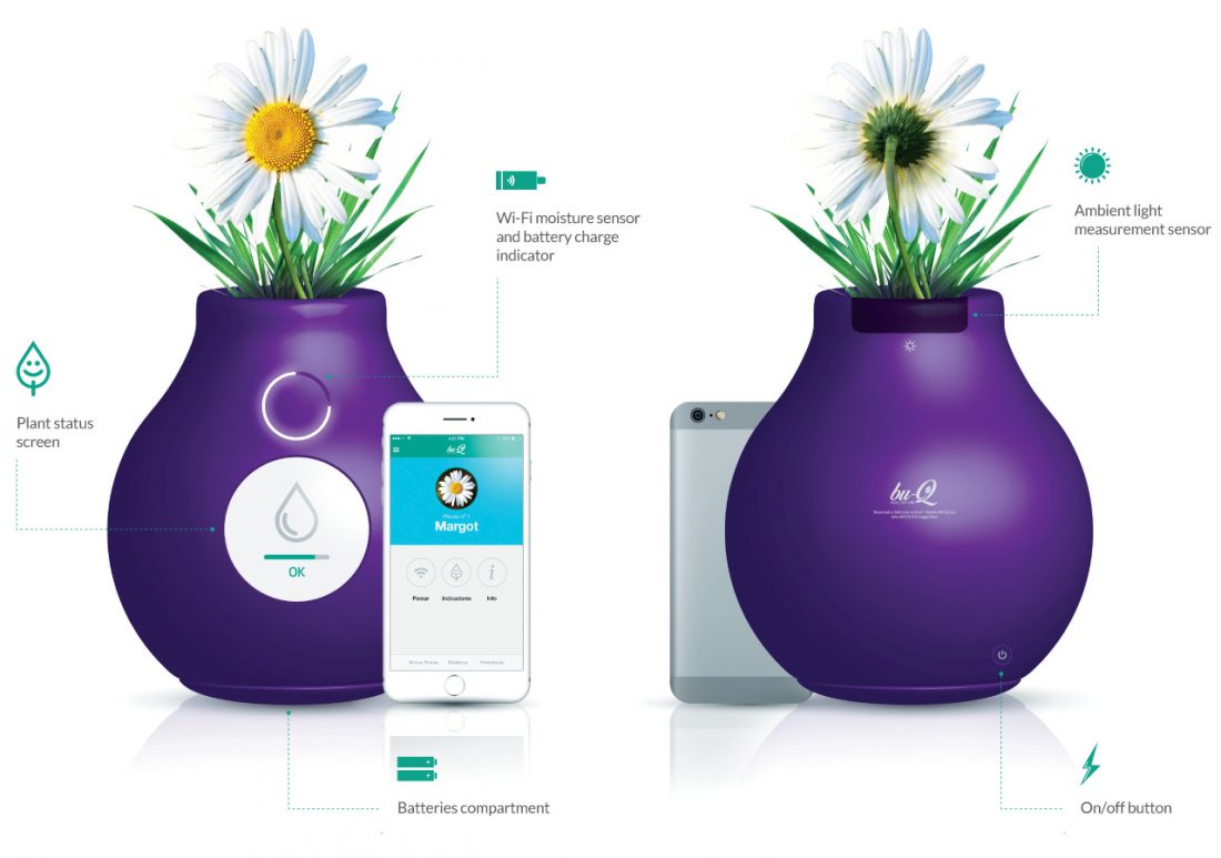 Smart Plant Vase & App Bruno Maya